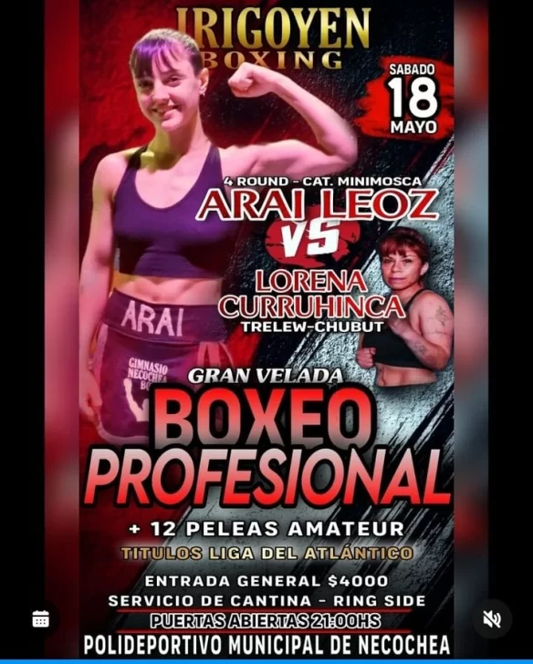 flyer-boxeo-584x728