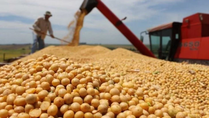 El Gobierno espera que se acelere la liquidación de divisas por la cosecha de soja: cómo viene el ingreso de dólares