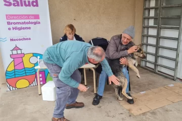 35 mascotas fueron vacunadas contra la rabia en el operativo de Barrio Norte