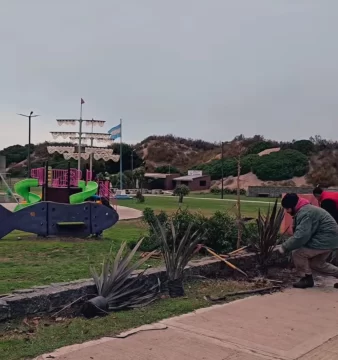 El Consorcio inició la forestación de la plaza 3 de Agosto