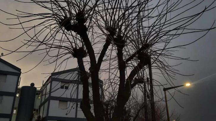 Cómo estará el clima este martes en Necochea y Quequén