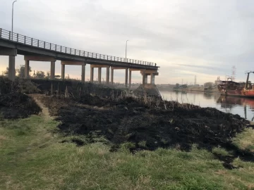 Controlaron un gran incendio de pastizales bajo el Puente Ezcurra