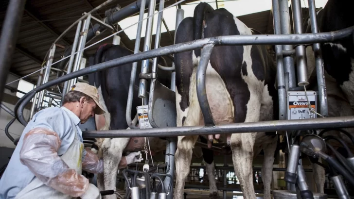 Cuáles son las medidas que el Gobierno tomará a favor del campo