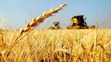 Análisis de expertos sobre los desafíos futuros en el sector agrícola argentino