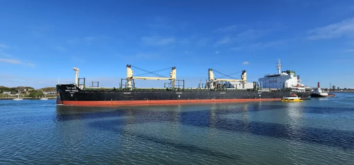 Alta rotación de buques en Puerto Quequén: 9 movimientos en un día