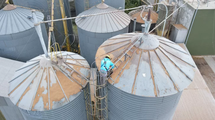 ARBA detectó 700 silos sin declarar en campos bonaerenses