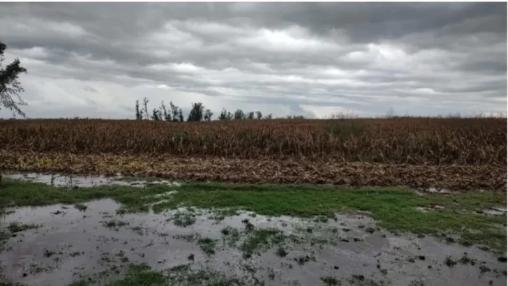 Cuáles son los distritos bonaerenses que se incluyeron en la nueva emergencia agropecuaria