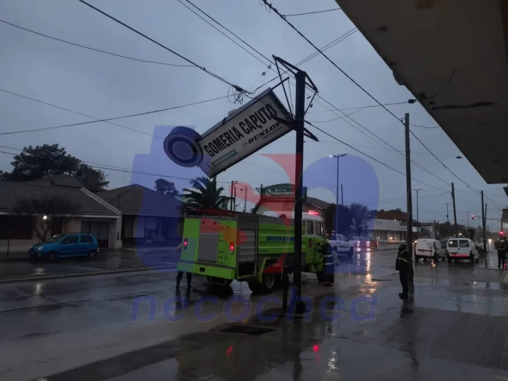 Temporal en Necochea: se reportan caídas de árboles, postes y cartelería