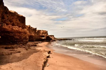 Voluntarios a limpiar las playas para proteger al Playero Rojizo