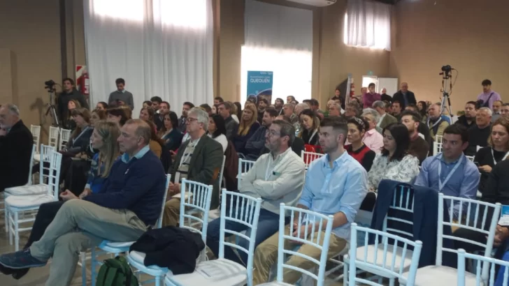 Esta semana presentan el Programa Puerto Participativo