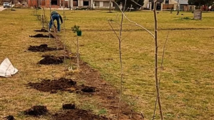 Amigos de la Plaza ARA General Belgrano se suman a la iniciativa “Nueva Ruta Verde”