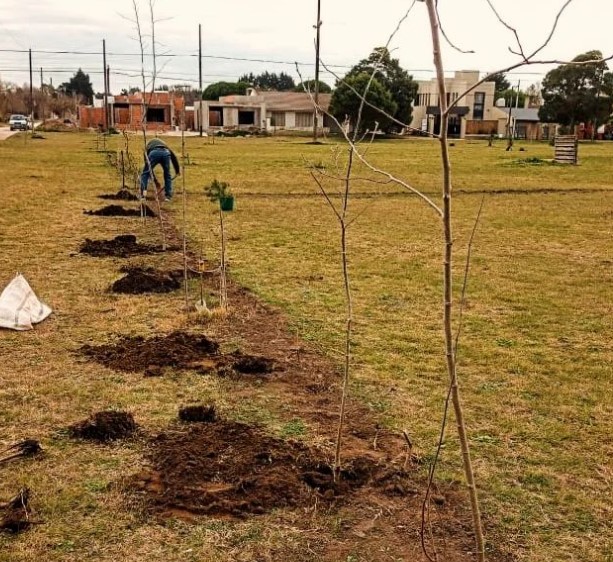 Amigos de la Plaza ARA General Belgrano se suman a la iniciativa “Nueva Ruta Verde”