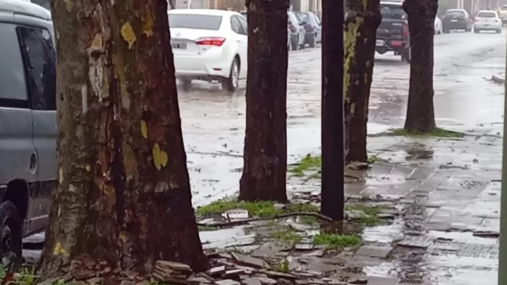 Pronóstico: Hasta cuándo seguirá la lluvia en Necochea