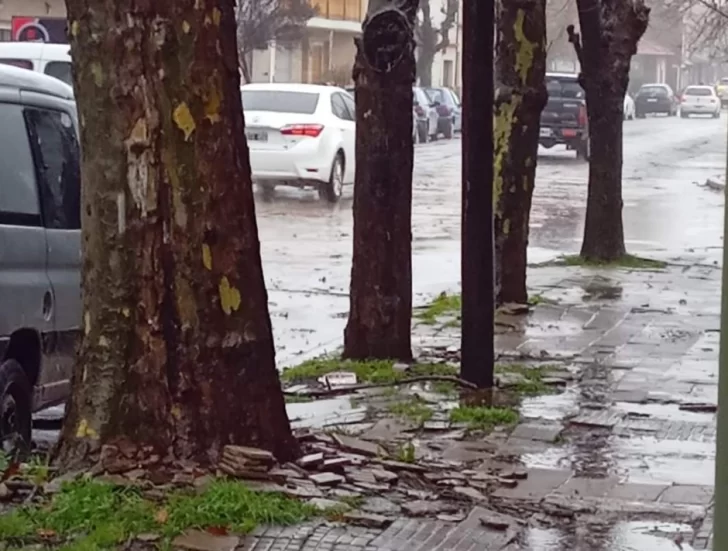 Pronóstico: Hasta cuándo seguirá la lluvia en Necochea