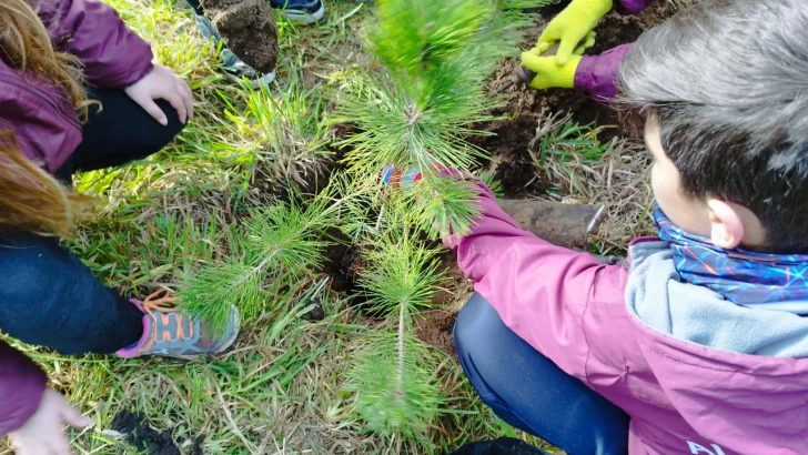 Alumnos del Colegio Danés llevaron adelante una jornada de forestación en el Parque