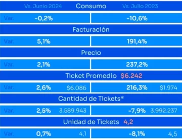 Grafico-Consumo-Julio-728x556