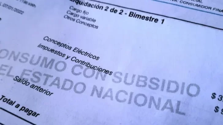 Paradojas de la era Milei: casi un millón de hogares se sumaron a los subsidios energéticos