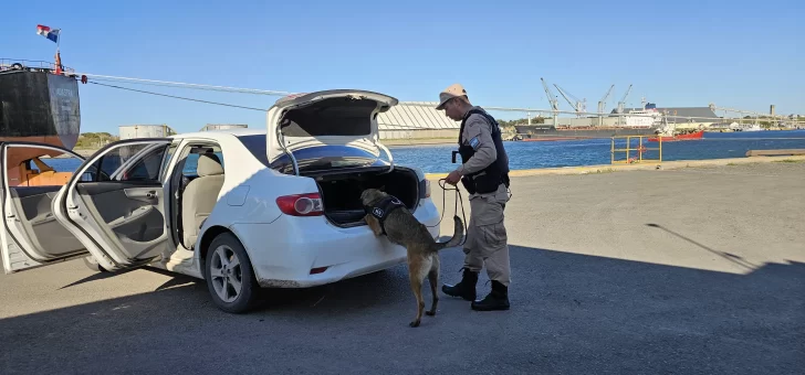 Consorcio, Aduana y Prefectura realizan inspecciones preventivas conjuntas