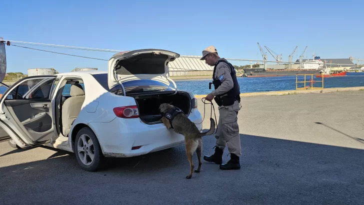 Consorcio, Aduana y Prefectura realizan inspecciones preventivas conjuntas