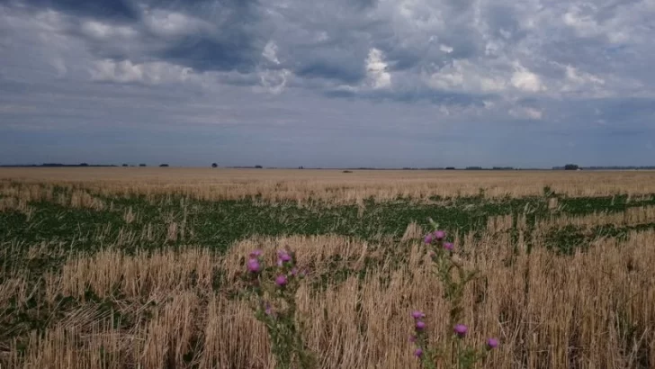 El fenómeno climático “La Niña” llegaría en septiembre