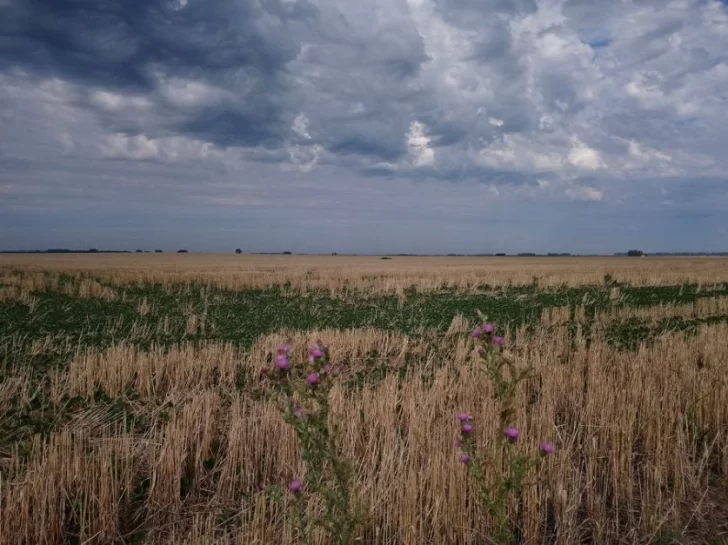 El fenómeno climático “La Niña” llegaría en septiembre