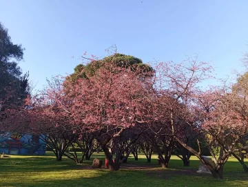 Se viene uno de los espectáculos más bonitos de nuestro parque