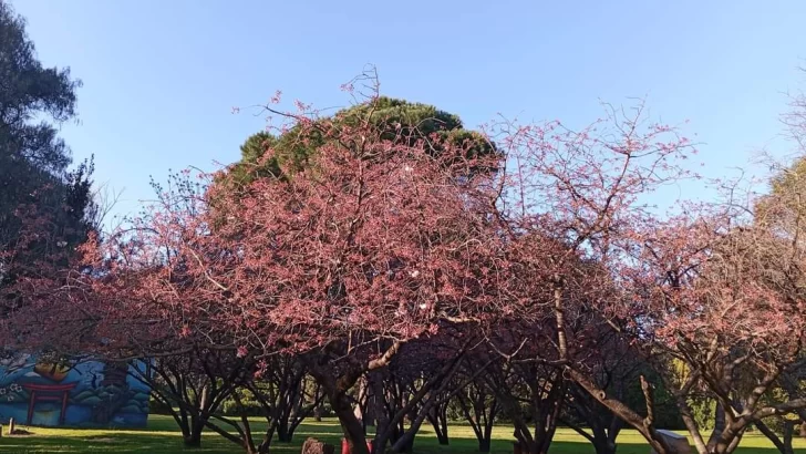 Se viene uno de los espectáculos más bonitos de nuestro parque