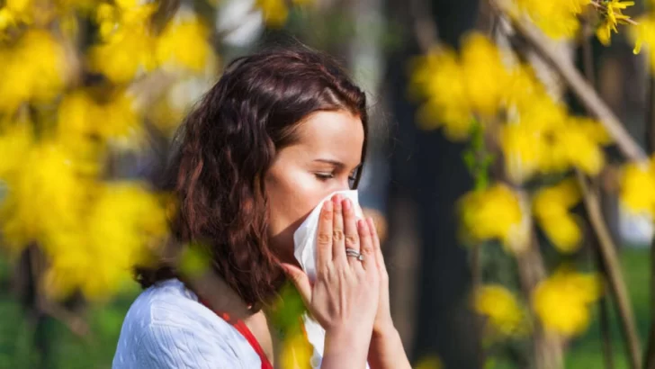 Alergias de primavera: cuáles son las más comunes y cómo detectarlas