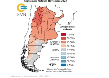 Captura-de-pantalla-2024-09-03-162053-728x524