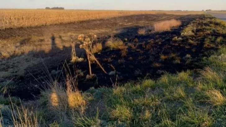 Importante incendio en banquinas de ruta 86