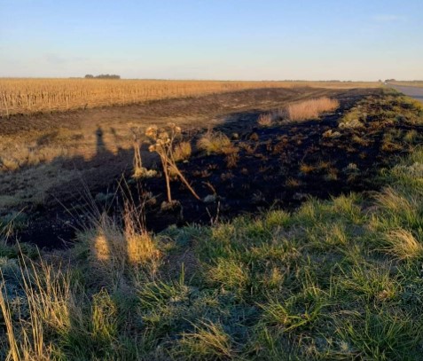 Importante incendio en banquinas de ruta 86