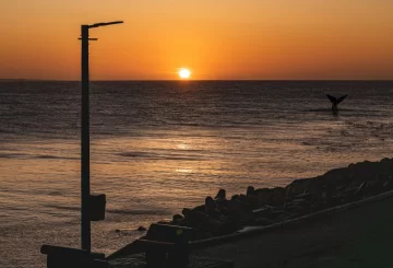 Pronóstico: cómo estará el clima este fin de semana en Necochea y Quequén