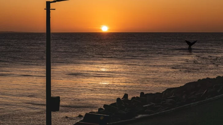 Pronóstico: cómo estará el clima este fin de semana en Necochea y Quequén