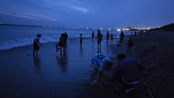 Las palometas invadieron la playa de Quequén y se pescaban con la mano