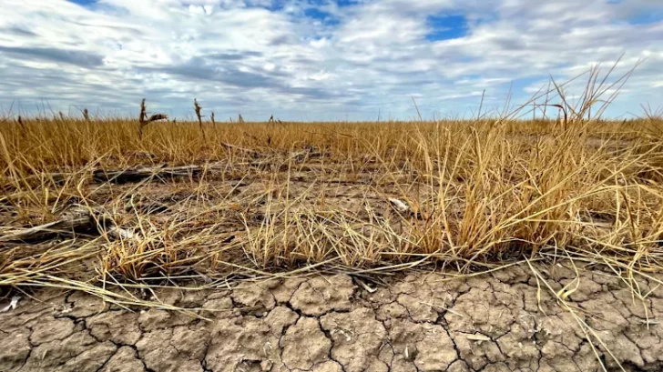 La Niña está por llegar a la Argentina: se esperan fuertes sequías y un clima fuera de lo normal