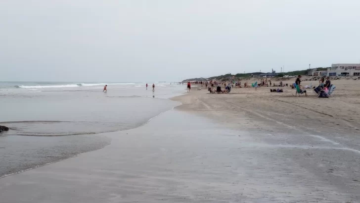 Un lobo Marino muerto  frente a los balnearios