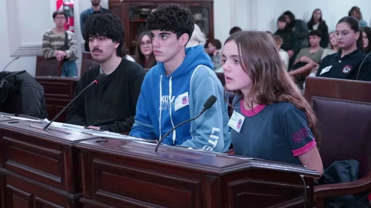 Se desarrolló la instancia local del Parlamento Juvenil del Mercosur