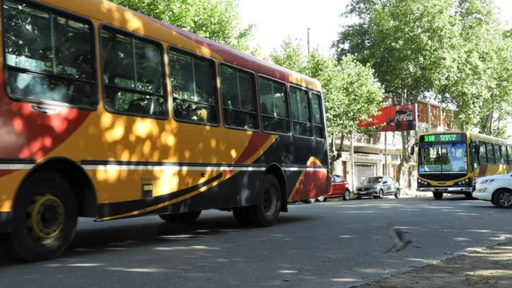 Colectivos: los menores de 10 años viajarán gratis a la fiesta