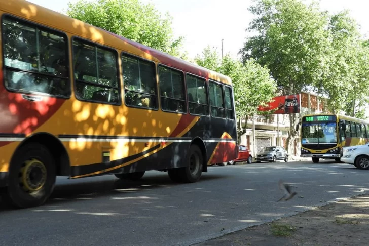 Colectivos: los menores de 10 años viajarán gratis a la fiesta