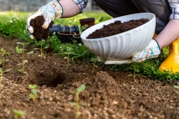 Taller gratuito de elaboración de Compost Casero