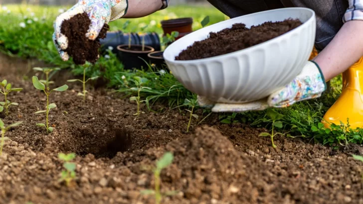 Taller gratuito de elaboración de Compost Casero