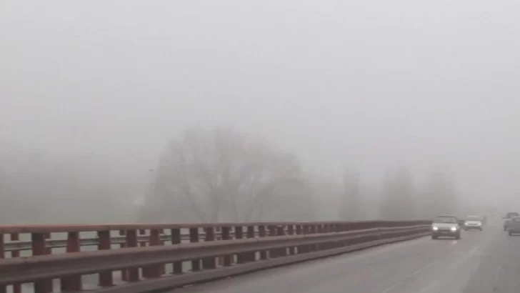 Una densa niebla cubre Necochea y Quequén: cómo seguirá el clima