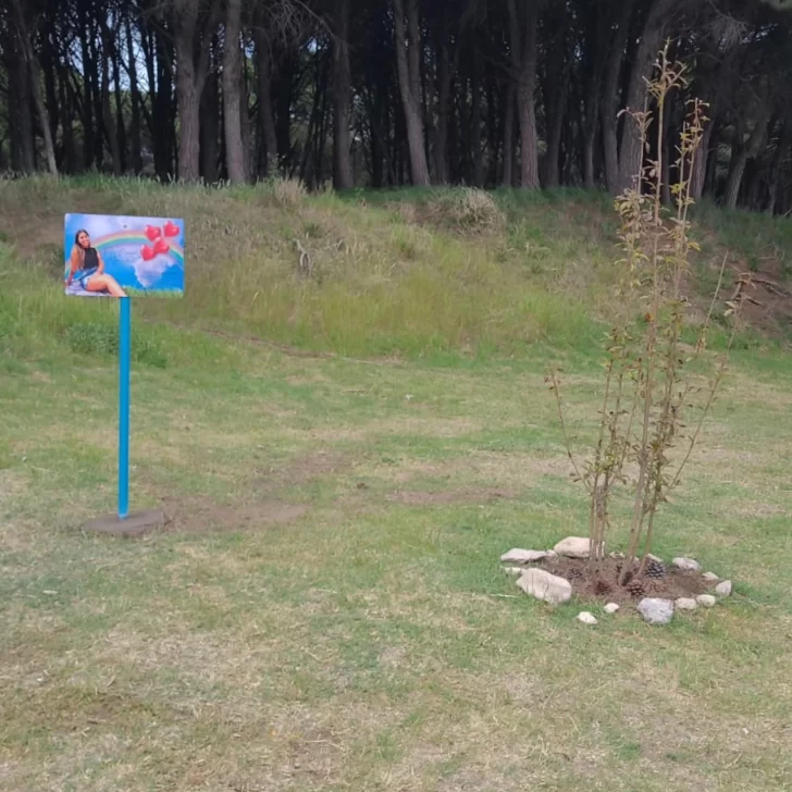 Un árbol en memoria de Ludmila Prieto