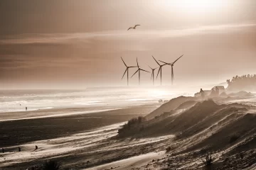 Organiza viajes grupales para tomar fotos a las bellezas naturales de Necochea