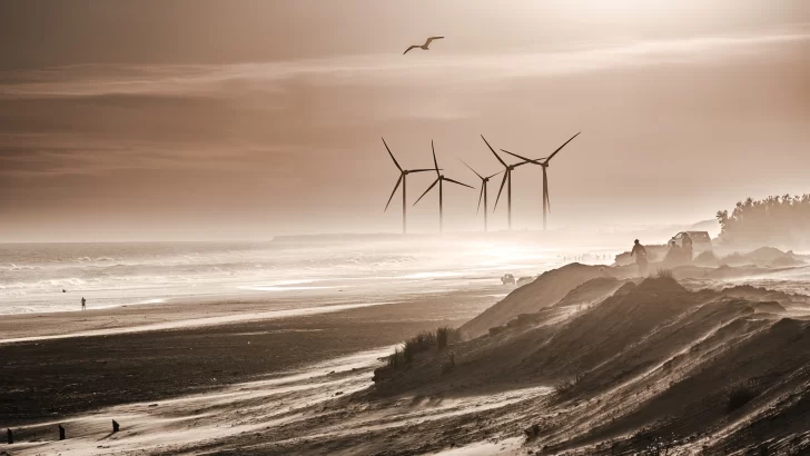 Organiza viajes grupales para tomar fotos a las bellezas naturales de Necochea