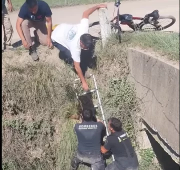 Impecable labor de bomberos rescatando a un perro que cayó a un zanjón