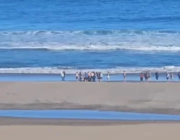 “La temperatura del agua es muy baja todavía y tenemos un mar muy peligroso en Necochea”