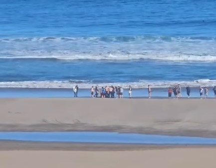 “La temperatura del agua es muy baja todavía y tenemos un mar muy peligroso en Necochea”