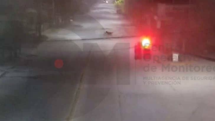 ¿Fenómenos paranormales en Quequén?: moto sin conductor cruza la avenida Lobería