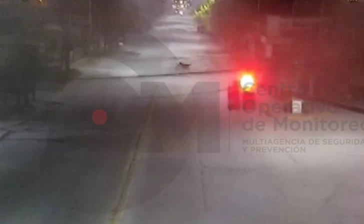 ¿Fenómenos paranormales en Quequén?: moto sin conductor cruza la avenida Lobería